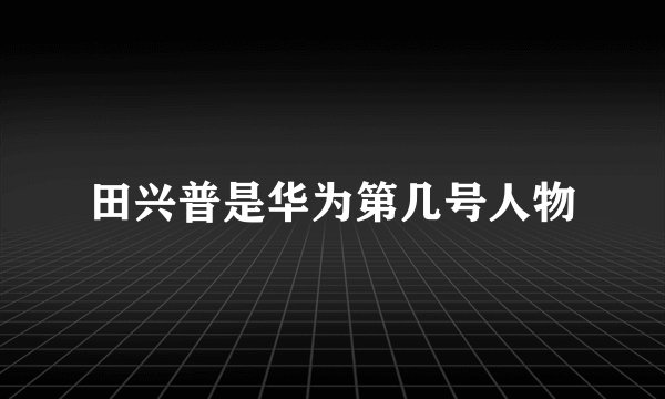 田兴普是华为第几号人物