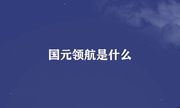 国元领航是什么