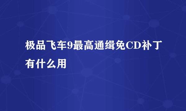 极品飞车9最高通缉免CD补丁有什么用