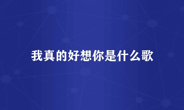 我真的好想你是什么歌