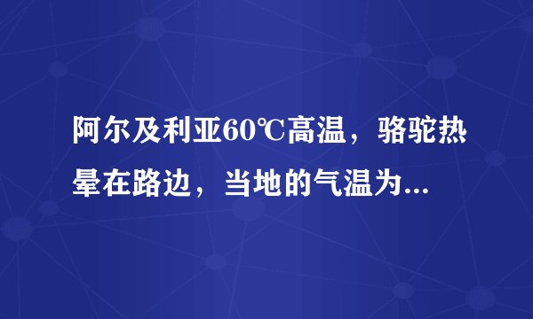 阿尔及利亚60℃高温，骆驼热晕在路边，当地的气温为何如此高？