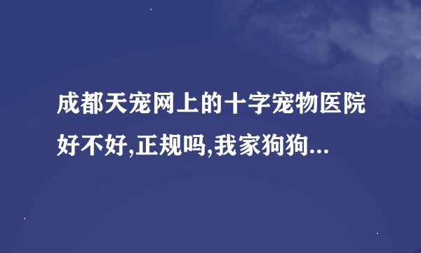 成都天宠网上的十字宠物医院好不好,正规吗,我家狗狗可能要动手术