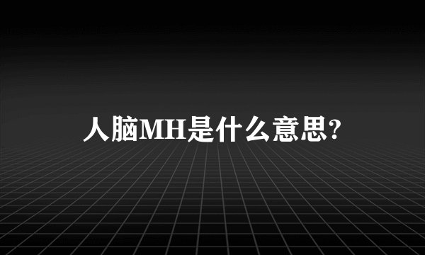 人脑MH是什么意思?