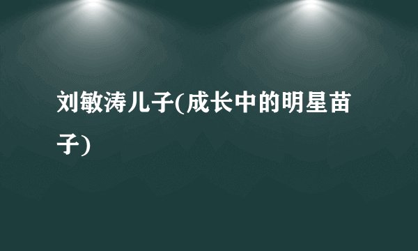 刘敏涛儿子(成长中的明星苗子)