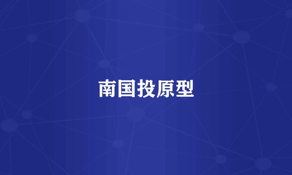 南国投原型