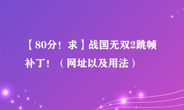 【80分！求】战国无双2跳帧补丁！（网址以及用法）