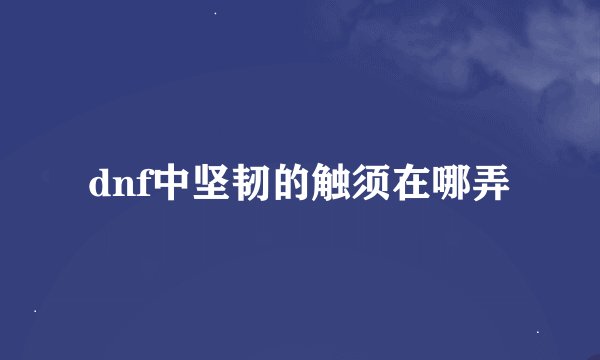 dnf中坚韧的触须在哪弄