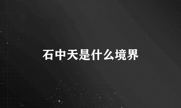 石中天是什么境界