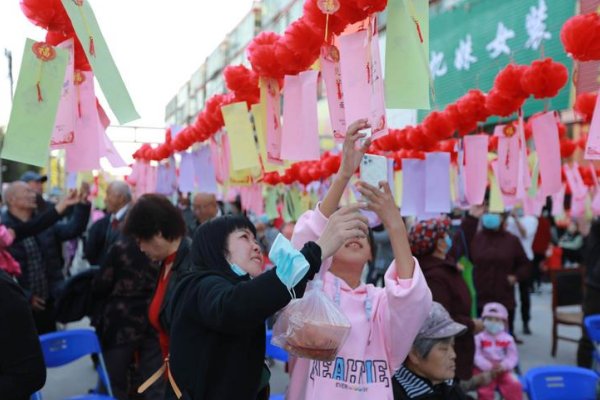 心荡神驰打一最佳生肖
