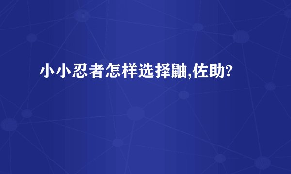 小小忍者怎样选择鼬,佐助?