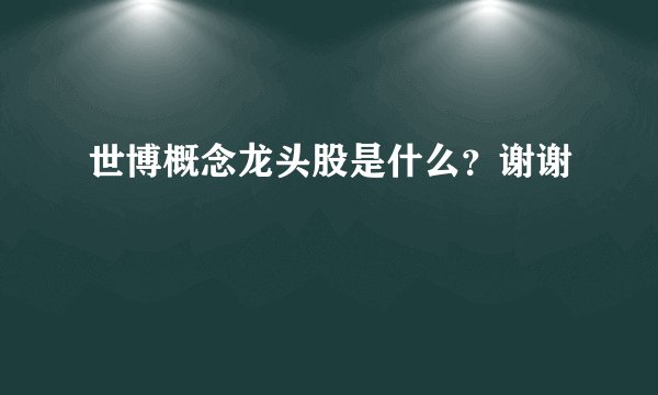 世博概念龙头股是什么？谢谢