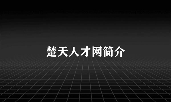 楚天人才网简介