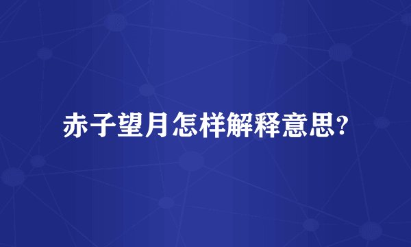 赤子望月怎样解释意思?