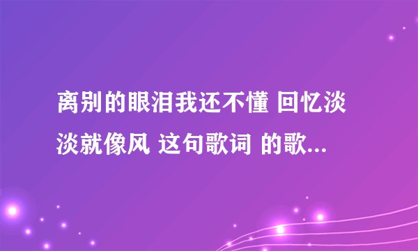 离别的眼泪我还不懂 回忆淡淡就像风 这句歌词 的歌名叫什么