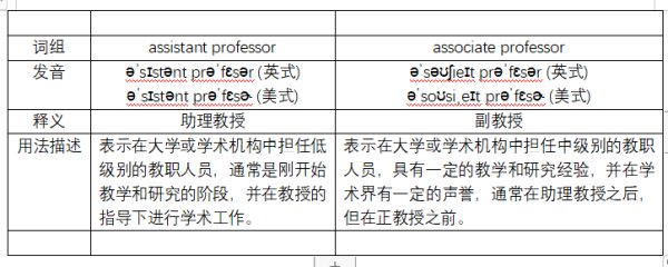 什么是助理教授？