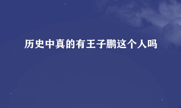 历史中真的有王子鹏这个人吗