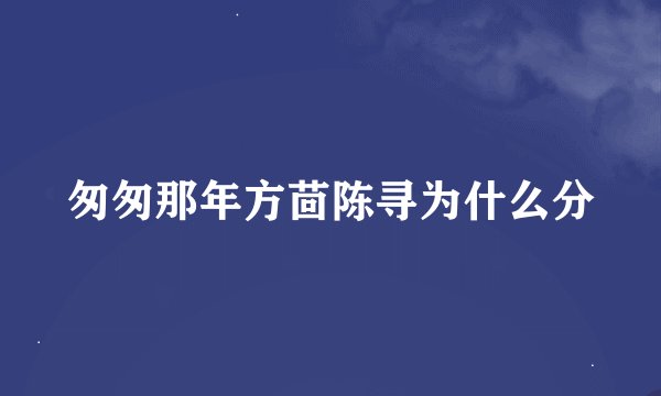匆匆那年方茴陈寻为什么分
