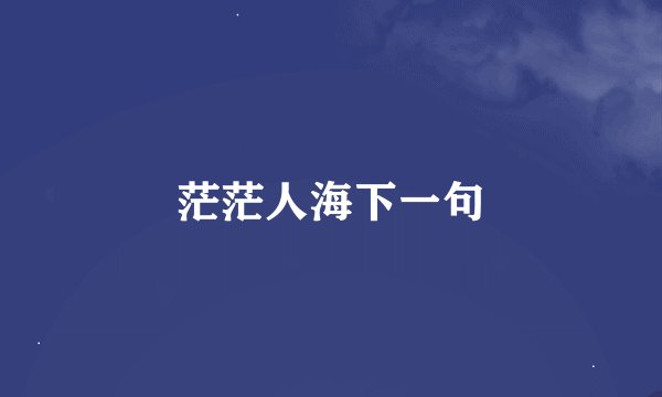 茫茫人海下一句
