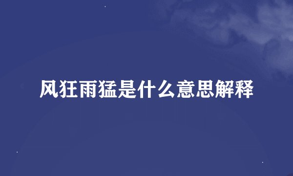 风狂雨猛是什么意思解释