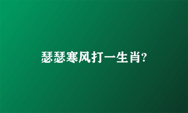 瑟瑟寒风打一生肖?
