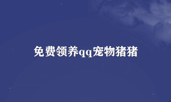 免费领养qq宠物猪猪