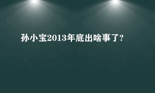 孙小宝2013年底出啥事了?