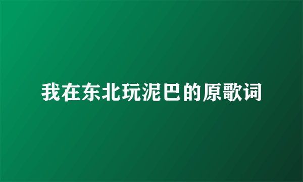 我在东北玩泥巴的原歌词