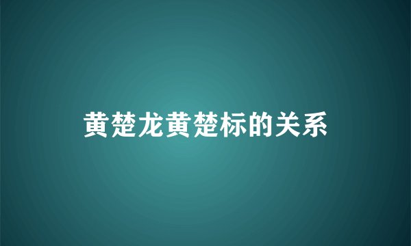 黄楚龙黄楚标的关系