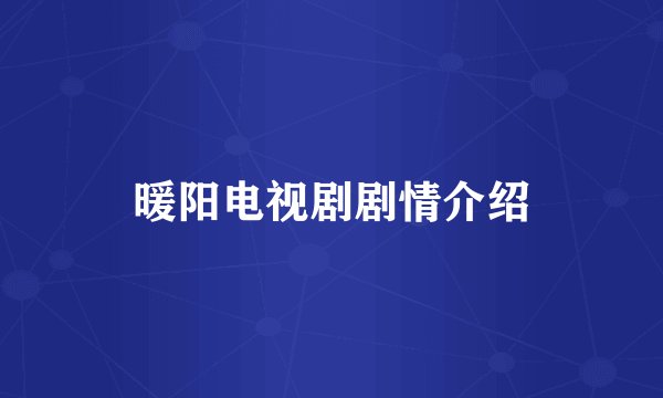 暖阳电视剧剧情介绍