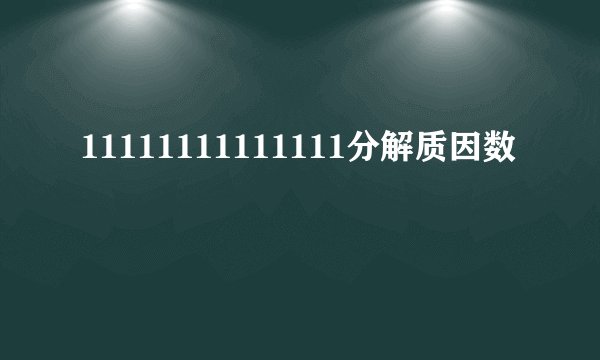 11111111111111分解质因数