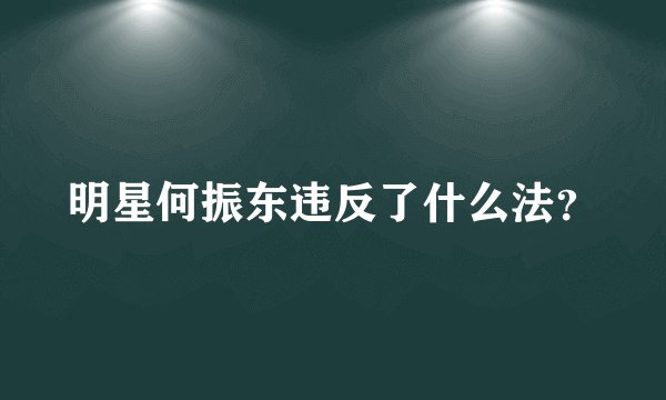 明星何振东违反了什么法？