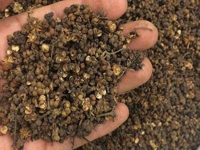 窗前江水泛春色(打一中草药名)