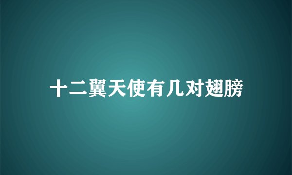 十二翼天使有几对翅膀