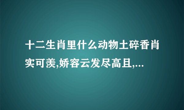 十二生肖里什么动物土碎香肖实可羡,娇容云发尽高且,身怀...