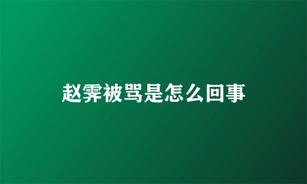 赵霁被骂是怎么回事