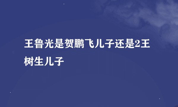 王鲁光是贺鹏飞儿子还是2王树生儿子