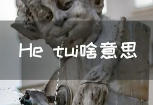 he tui是什么意思?