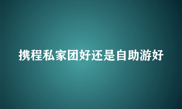 携程私家团好还是自助游好