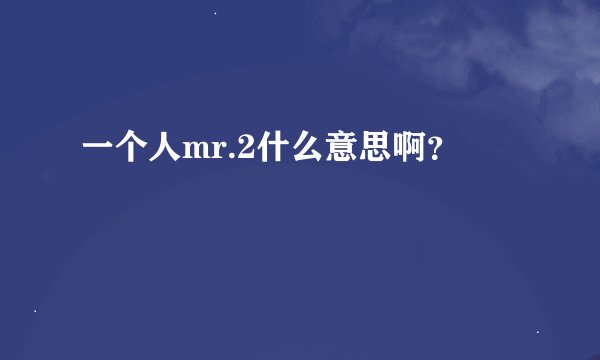 一个人mr.2什么意思啊？