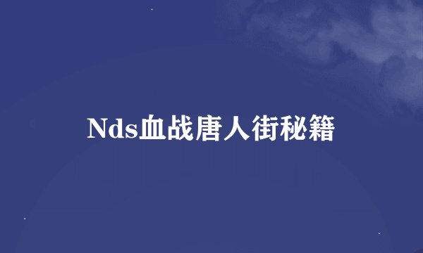 Nds血战唐人街秘籍