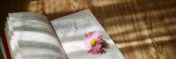 混蛋日语怎么读 混蛋日语如何读