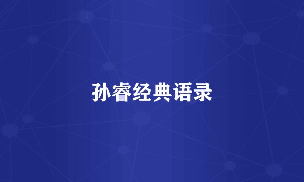 孙睿经典语录
