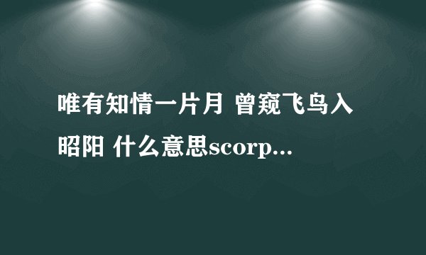 唯有知情一片月 曾窥飞鸟入昭阳 什么意思scorpioydj