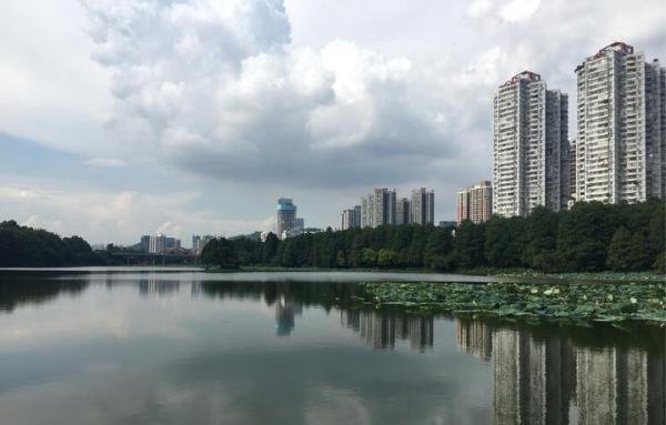 不跟随,以心换心