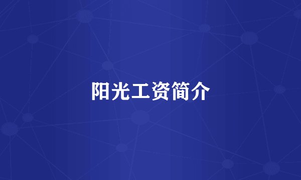 阳光工资简介