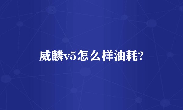 威麟v5怎么样油耗?