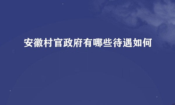 安徽村官政府有哪些待遇如何
