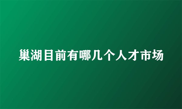 巢湖目前有哪几个人才市场