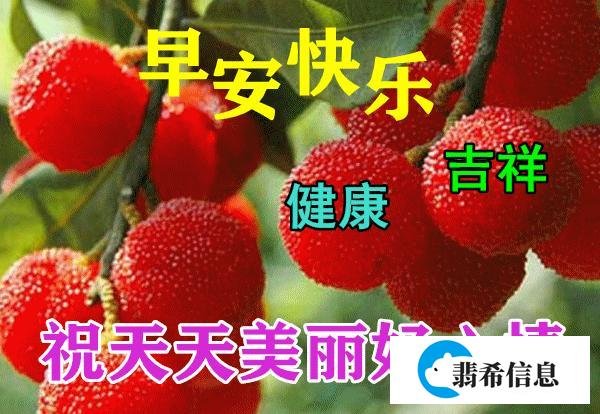 2021年非常阳光早安问候语 创意又美好的早上好图片大全带字合集