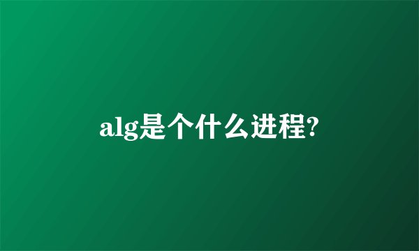 alg是个什么进程?